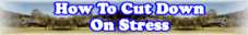 How To Cut Down On Stress - Page 17