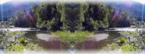 Doctor DeMarco Recommended Products