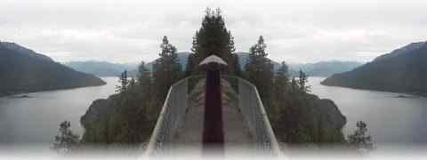 Doctor DeMarco Recommended Products