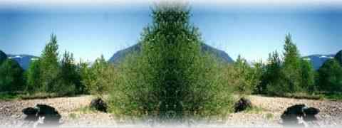 Doctor DeMarco Recommended Products