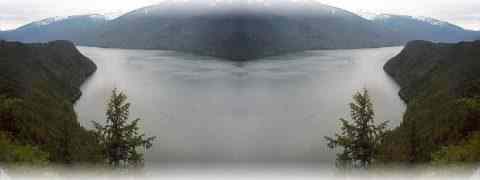 Doctor DeMarco Recommended Products