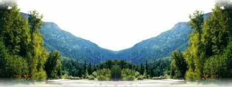 Doctor DeMarco Recommended Products