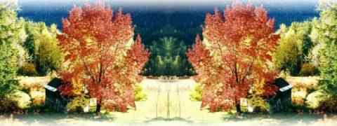 Doctor DeMarco Recommended Products