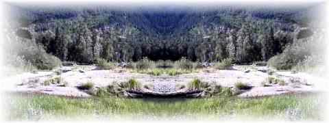 Doctor DeMarco Recommended Products