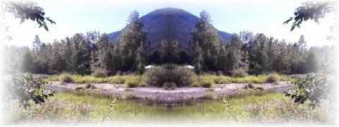 Doctor DeMarco Recommended Products