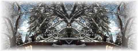 Doctor DeMarco Recommended Products