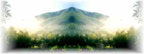 Doctor DeMarco Recommended Products