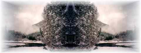 Doctor DeMarco Recommended Products