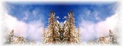 Doctor DeMarco Recommended Products